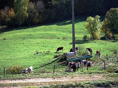 Automne_allenc (8)